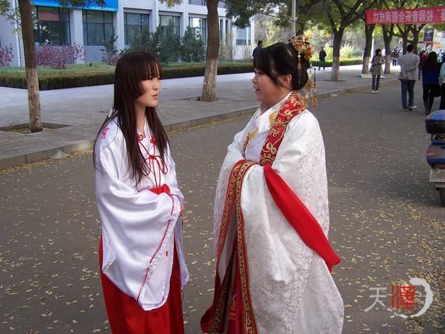 100_4500.JPG